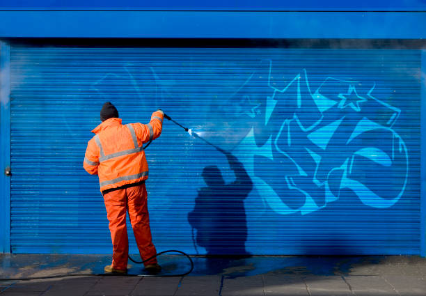 Best Best Pressure Washing Companies  in Swanton, OH