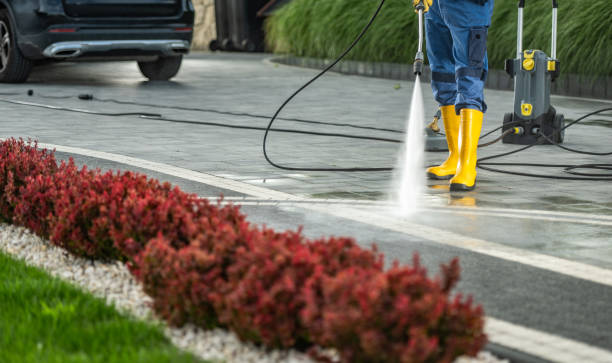 Best Commercial Pressure Washing  in Swanton, OH