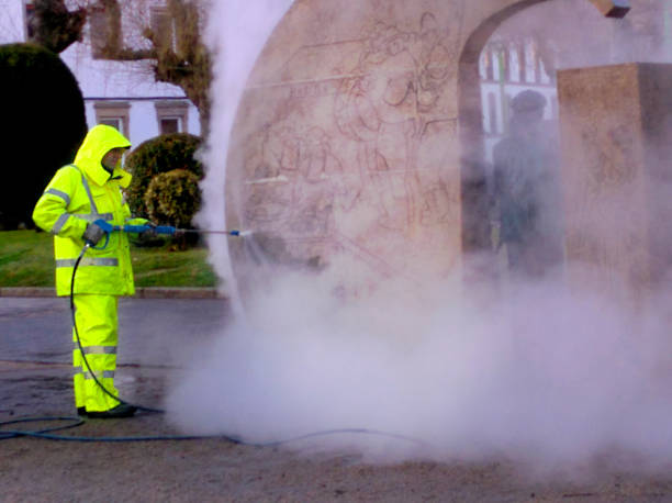 Best Affordable Power Washing  in Swanton, OH